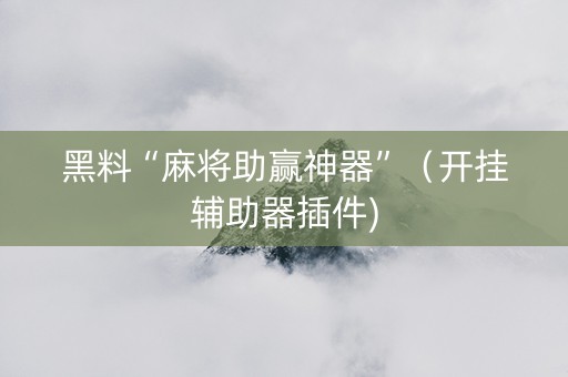 黑料“麻将助赢神器”（开挂辅助器插件)