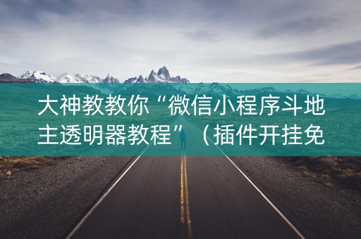 大神教教你“微信小程序斗地主透明器教程”（插件开挂免费AI)