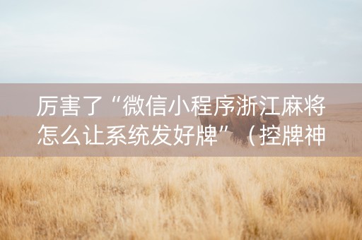 厉害了“微信小程序浙江麻将怎么让系统发好牌”（控牌神器)