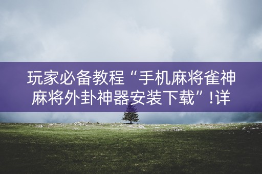 玩家必备教程“手机麻将雀神麻将外卦神器安装下载”!详细开挂教程-知乎