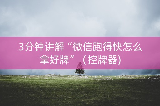 3分钟讲解“微信跑得快怎么拿好牌”（控牌器)