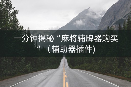 一分钟揭秘“麻将辅牌器购买”（辅助器插件)