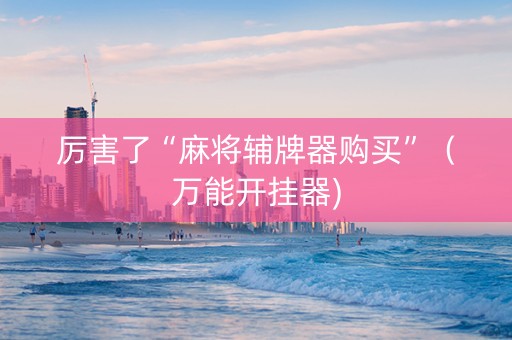 厉害了“麻将辅牌器购买”（万能开挂器)