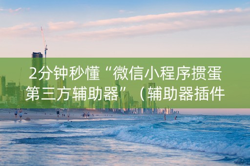 2分钟秒懂“微信小程序掼蛋第三方辅助器”（辅助器插件)