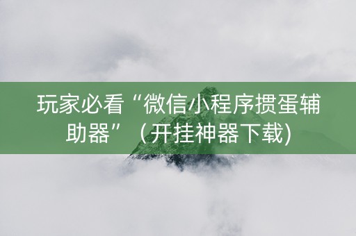 玩家必看“微信小程序掼蛋辅助器”（开挂神器下载)