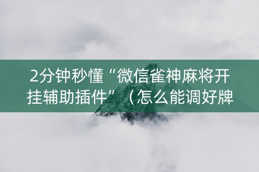 2分钟秒懂“微信雀神麻将开挂辅助插件”（怎么能调好牌)
