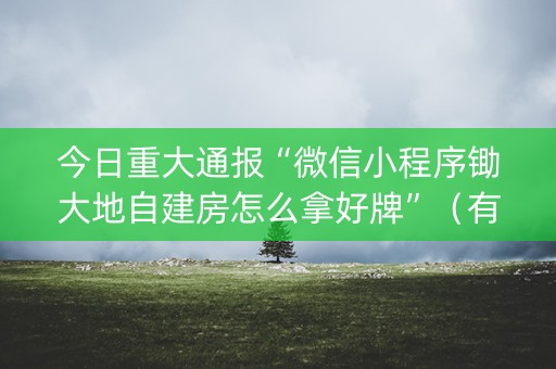 今日重大通报“微信小程序锄大地自建房怎么拿好牌”（有什么规律)