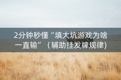 2分钟秒懂“填大坑游戏为啥一直输”（辅助挂发牌规律)