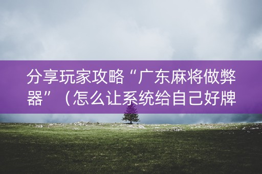 分享玩家攻略“广东麻将做弊器”（怎么让系统给自己好牌)