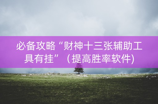 必备攻略“财神十三张辅助工具有挂”（提高胜率软件)