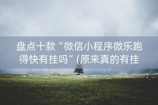 盘点十款“微信小程序微乐跑得快有挂吗”(原来真的有挂)-知乎