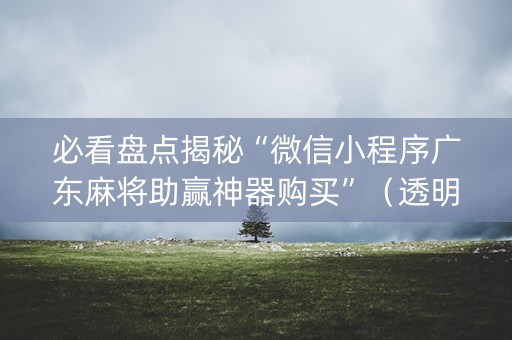 必看盘点揭秘“微信小程序广东麻将助赢神器购买”（透明挂辅助器)