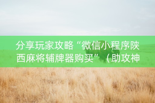 分享玩家攻略“微信小程序陕西麻将辅牌器购买”（助攻神器)