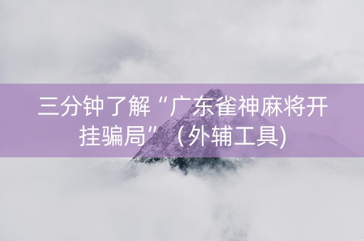三分钟了解“广东雀神麻将开挂骗局”（外辅工具)
