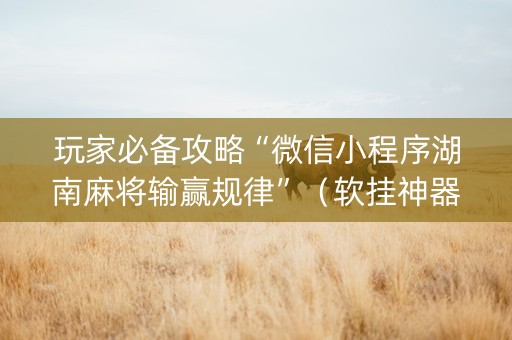 玩家必备攻略“微信小程序湖南麻将输赢规律”（软挂神器)