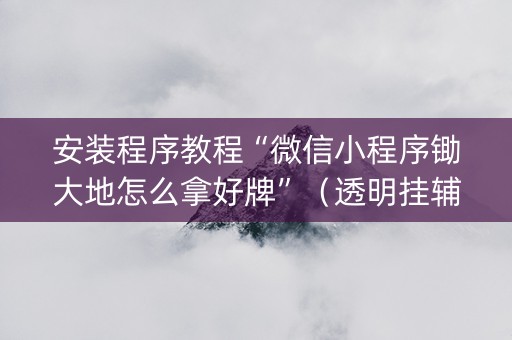 安装程序教程“微信小程序锄大地怎么拿好牌”（透明挂辅助器)