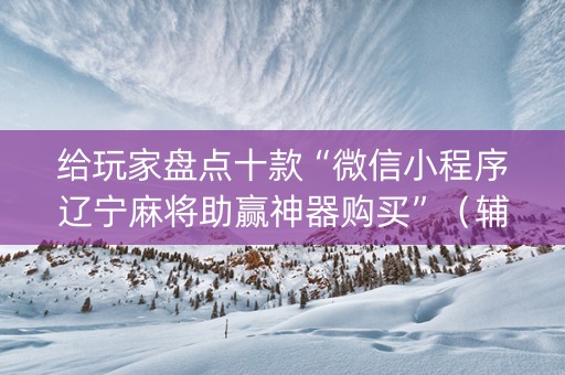 给玩家盘点十款“微信小程序辽宁麻将助赢神器购买”（辅助神器免费)