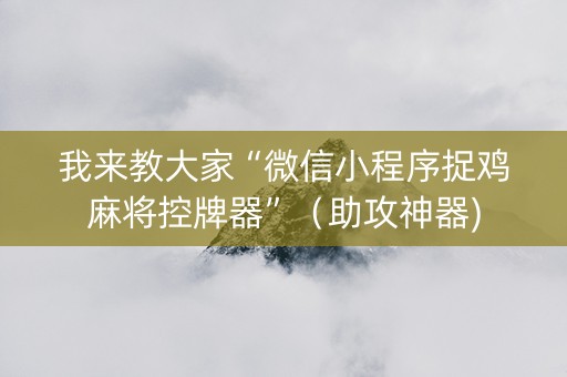 我来教大家“微信小程序捉鸡麻将控牌器”（助攻神器)