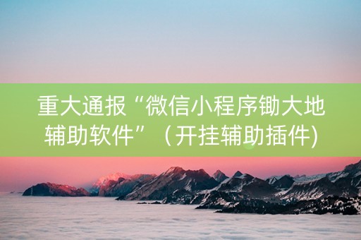 重大通报“微信小程序锄大地辅助软件”（开挂辅助插件)