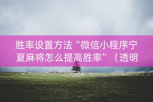 胜率设置方法“微信小程序宁夏麻将怎么提高胜率”（透明器教程)