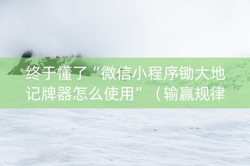 终于懂了“微信小程序锄大地记牌器怎么使用”（输赢规律)
