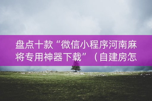 盘点十款“微信小程序河南麻将专用神器下载”（自建房怎么赢)