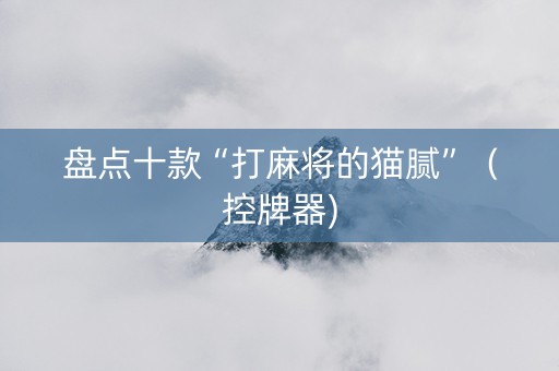 盘点十款“打麻将的猫腻”（控牌器)