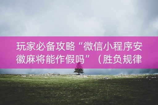 玩家必备攻略“微信小程序安徽麻将能作假吗”（胜负规律拿好牌)