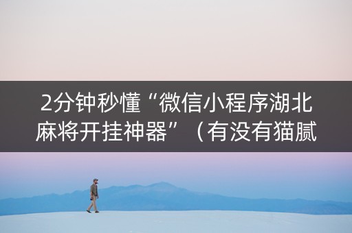 2分钟秒懂“微信小程序湖北麻将开挂神器”（有没有猫腻)