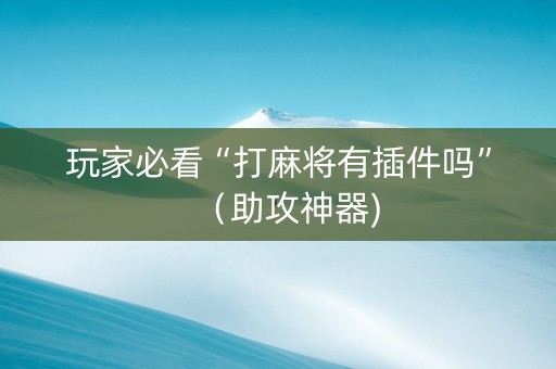 玩家必看“打麻将有插件吗”（助攻神器)