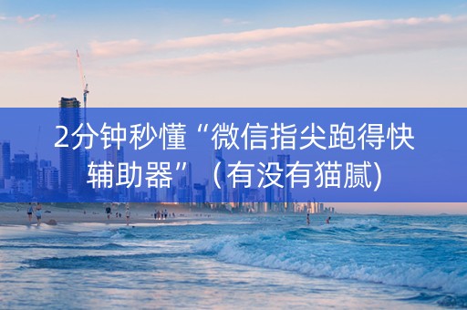 2分钟秒懂“微信指尖跑得快辅助器”（有没有猫腻)