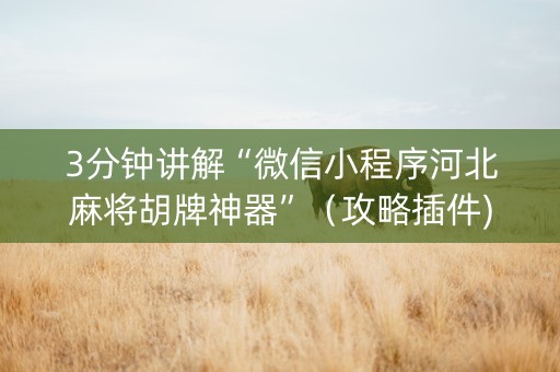 3分钟讲解“微信小程序河北麻将胡牌神器”（攻略插件)