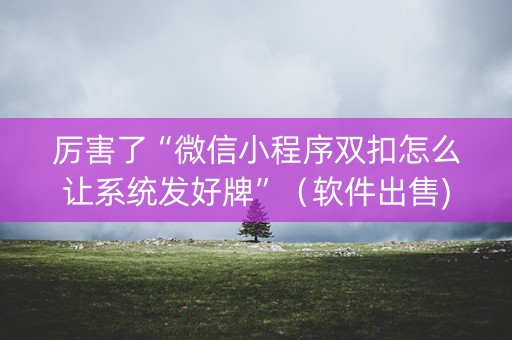 厉害了“微信小程序双扣怎么让系统发好牌”（软件出售)