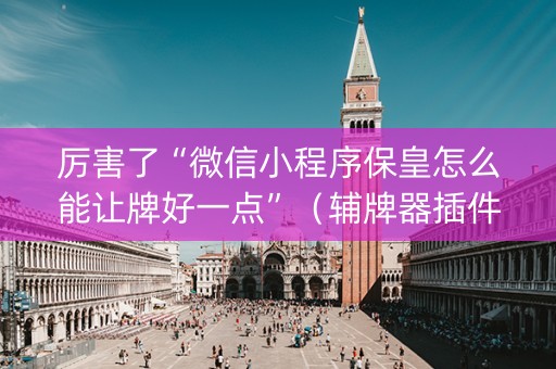 厉害了“微信小程序保皇怎么能让牌好一点”（辅牌器插件购买)