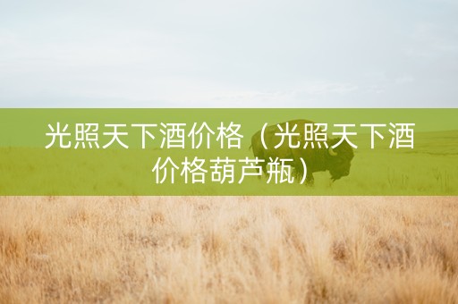 光照天下酒价格（光照天下酒价格葫芦瓶）