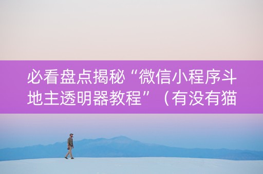 必看盘点揭秘“微信小程序斗地主透明器教程”（有没有猫腻)