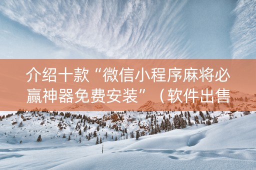 介绍十款“微信小程序麻将必赢神器免费安装”（软件出售)