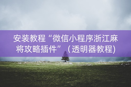 安装教程“微信小程序浙江麻将攻略插件”（透明器教程)