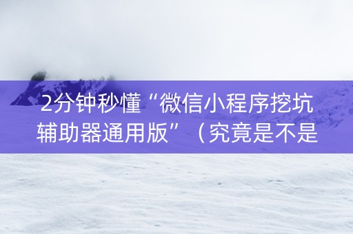 2分钟秒懂“微信小程序挖坑辅助器通用版”（究竟是不是有挂)