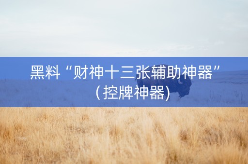 黑料“财神十三张辅助神器”（控牌神器)