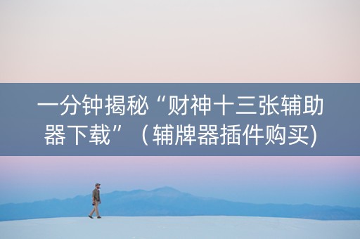 一分钟揭秘“财神十三张辅助器下载”（辅牌器插件购买)