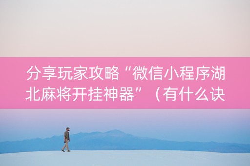 分享玩家攻略“微信小程序湖北麻将开挂神器”（有什么诀窍)