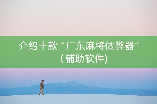 介绍十款“广东麻将做弊器”（辅助软件)