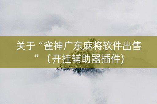 关于“雀神广东麻将软件出售”（开挂辅助器插件)