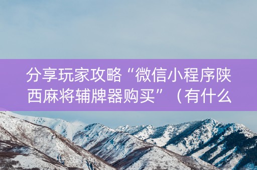 分享玩家攻略“微信小程序陕西麻将辅牌器购买”（有什么规律)