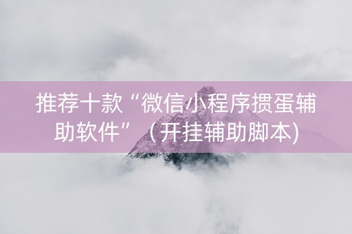 推荐十款“微信小程序掼蛋辅助软件”（开挂辅助脚本)