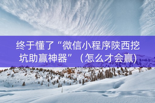 终于懂了“微信小程序陕西挖坑助赢神器”（怎么才会赢)