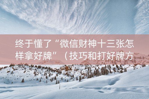 终于懂了“微信财神十三张怎样拿好牌”（技巧和打好牌方法)