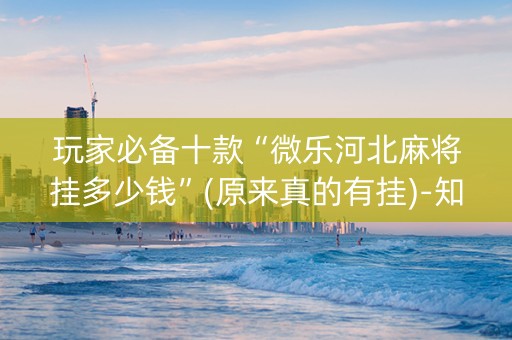 玩家必备十款“微乐河北麻将挂多少钱”(原来真的有挂)-知乎