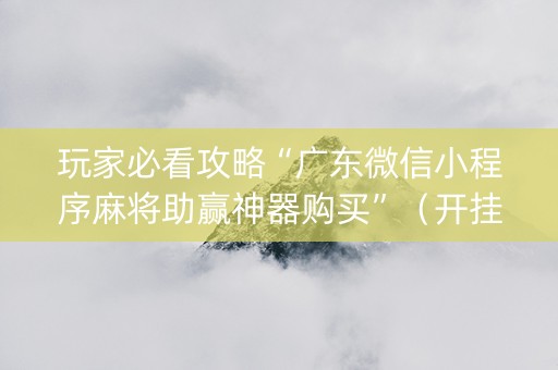 玩家必看攻略“广东微信小程序麻将助赢神器购买”（开挂辅助器插件)
